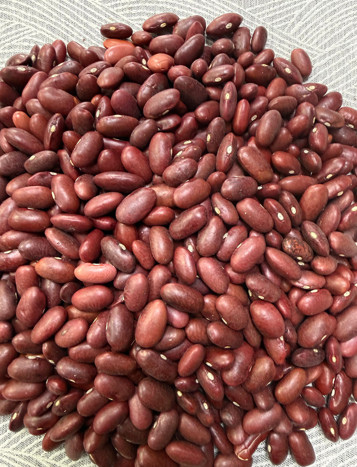 Dark Red Kidney Beans