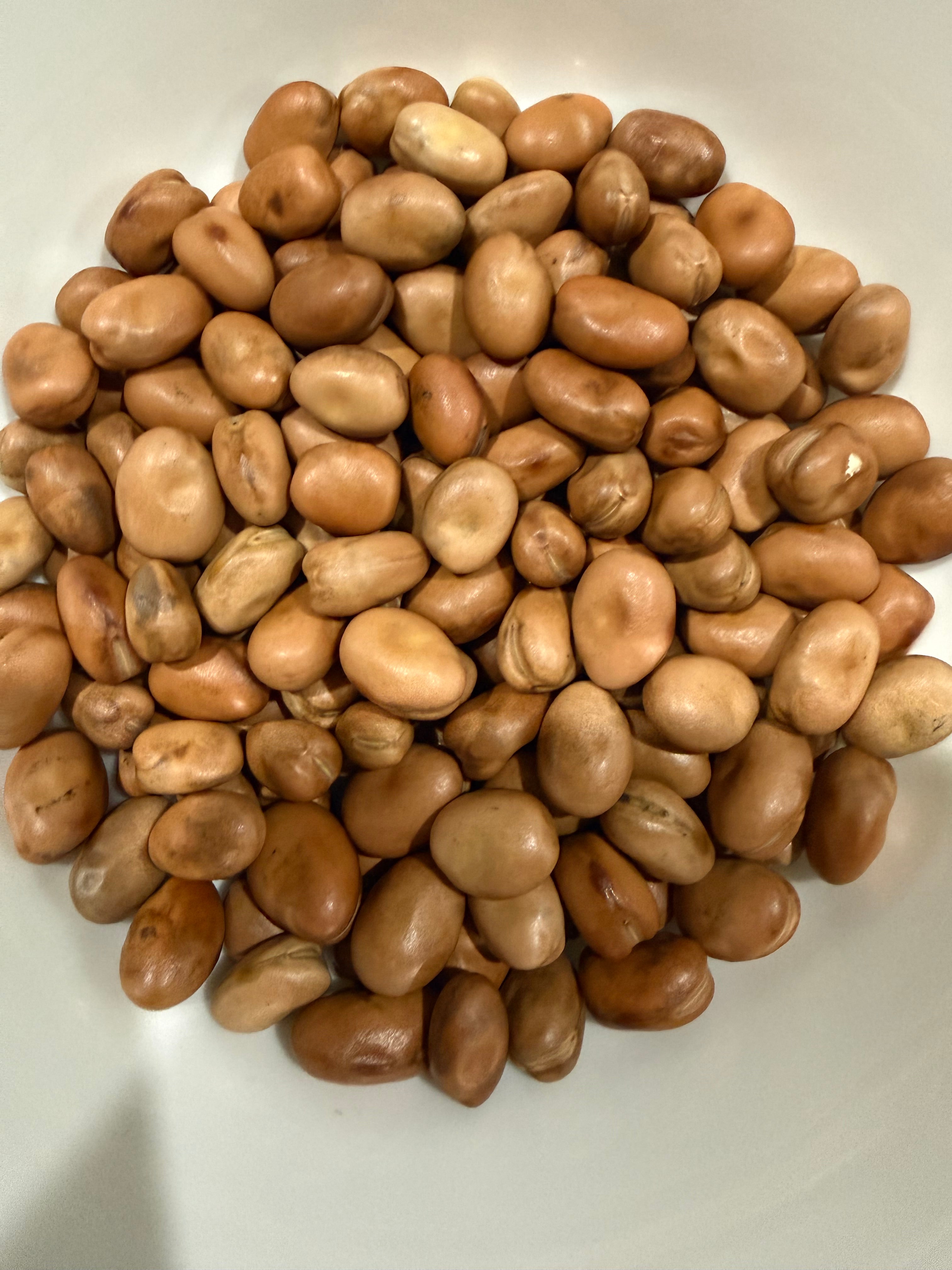 Faba beans