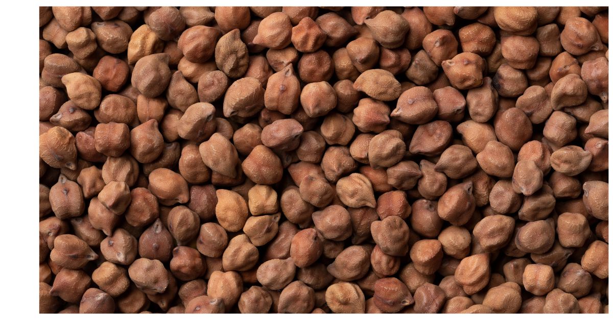 Black Channa (Kala Chana) Black chickpeas