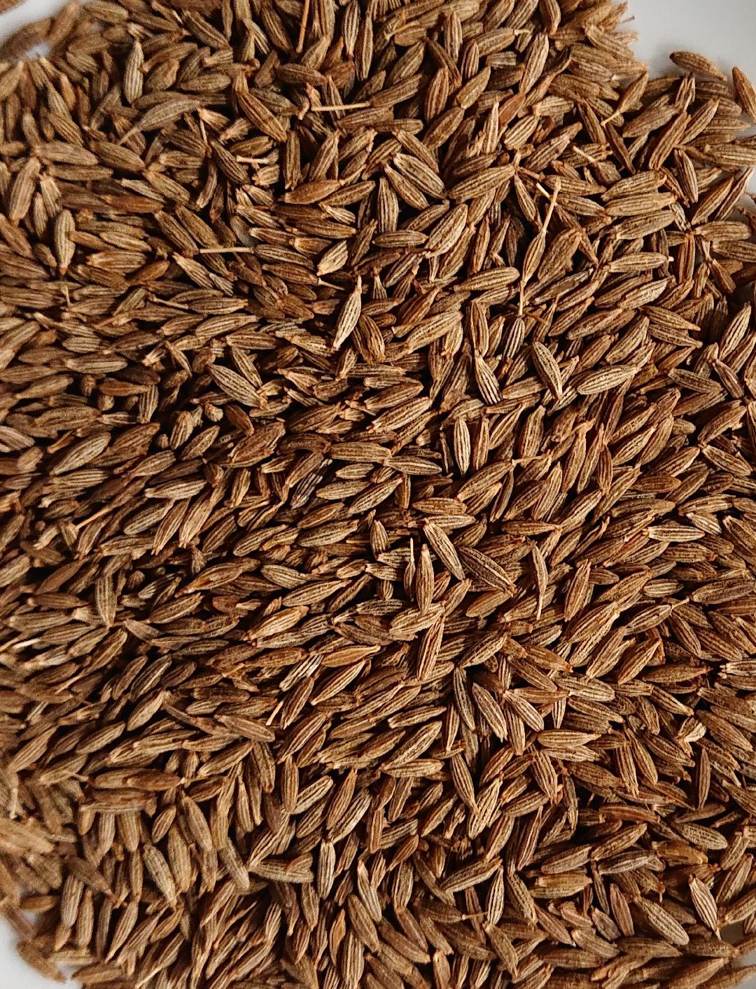 Cumin Seeds Organic