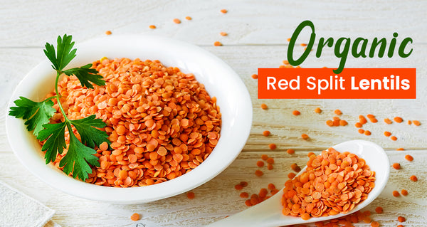 Organic Red Split Lentils: Discover Nutrition Benefits and Uses