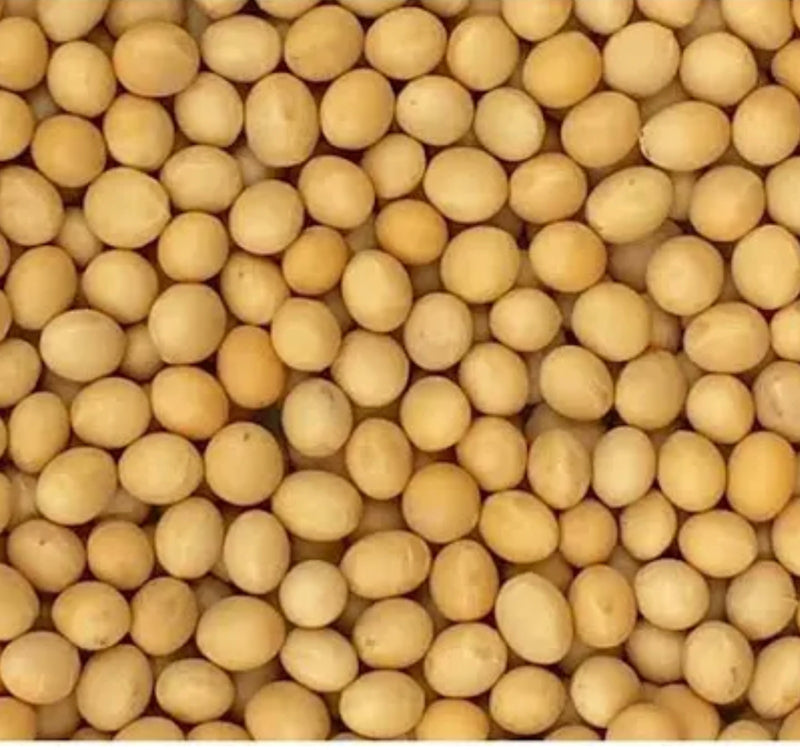 Soy Bean Whole NZ