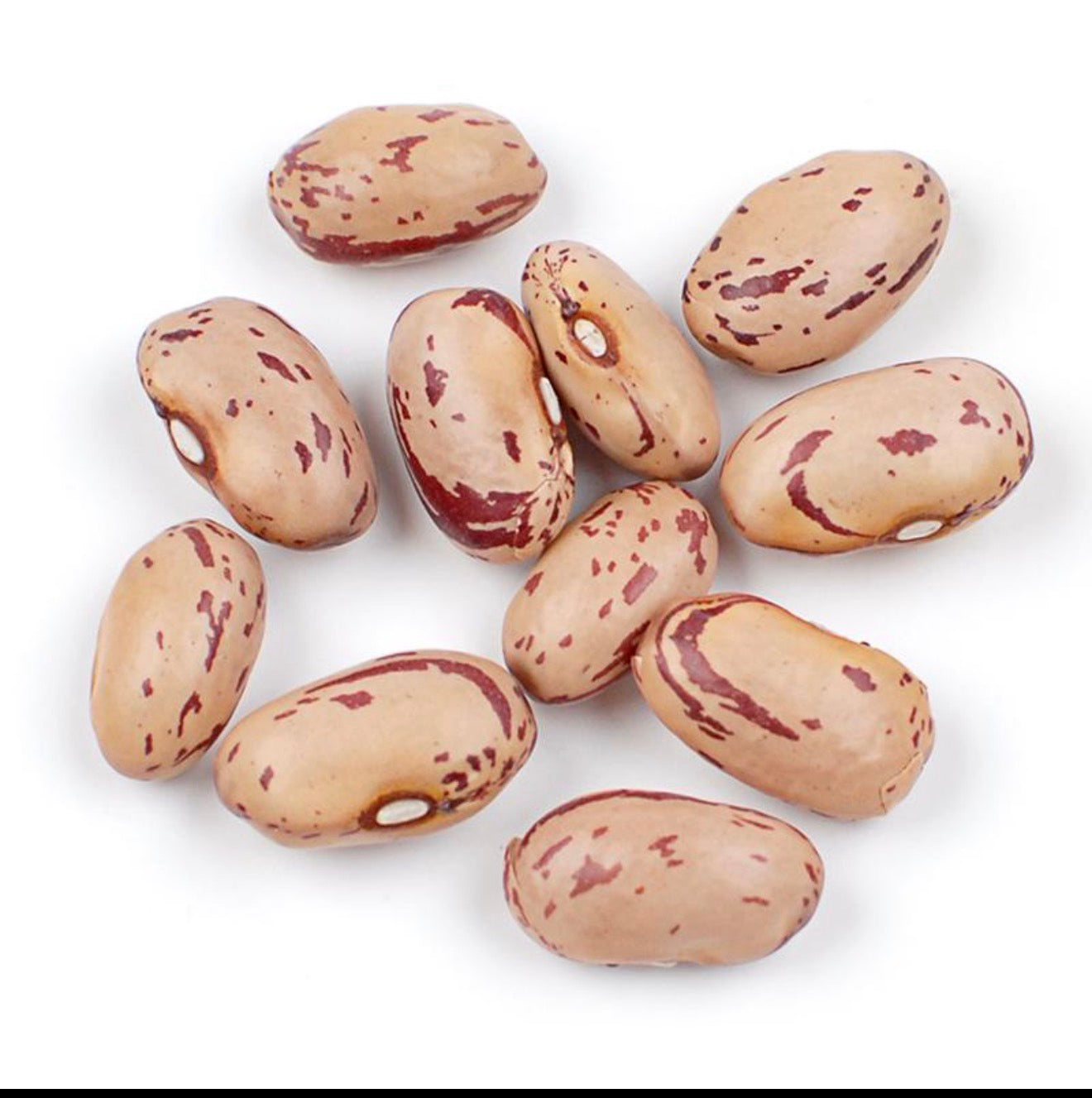 Cranberry Beans (Borlotti Beans)
