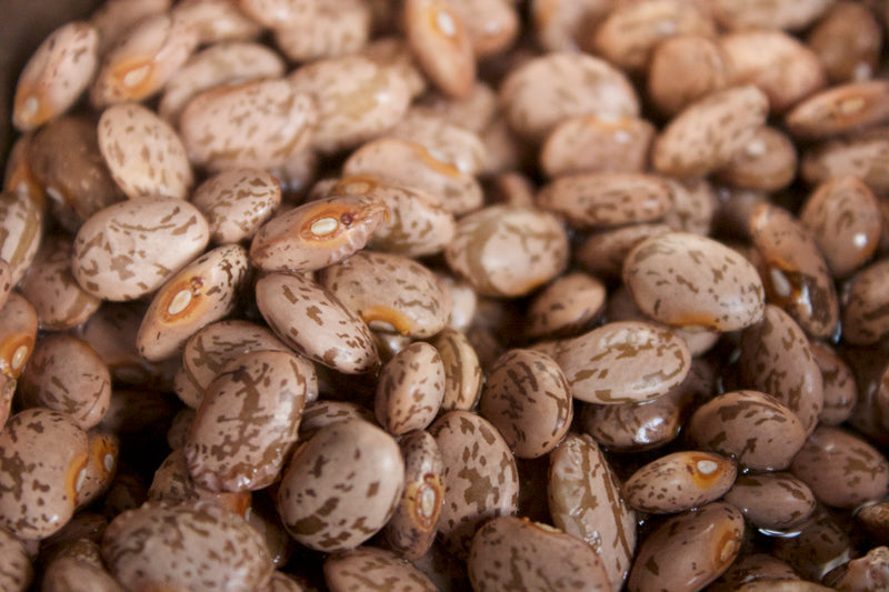 Pinto Beans