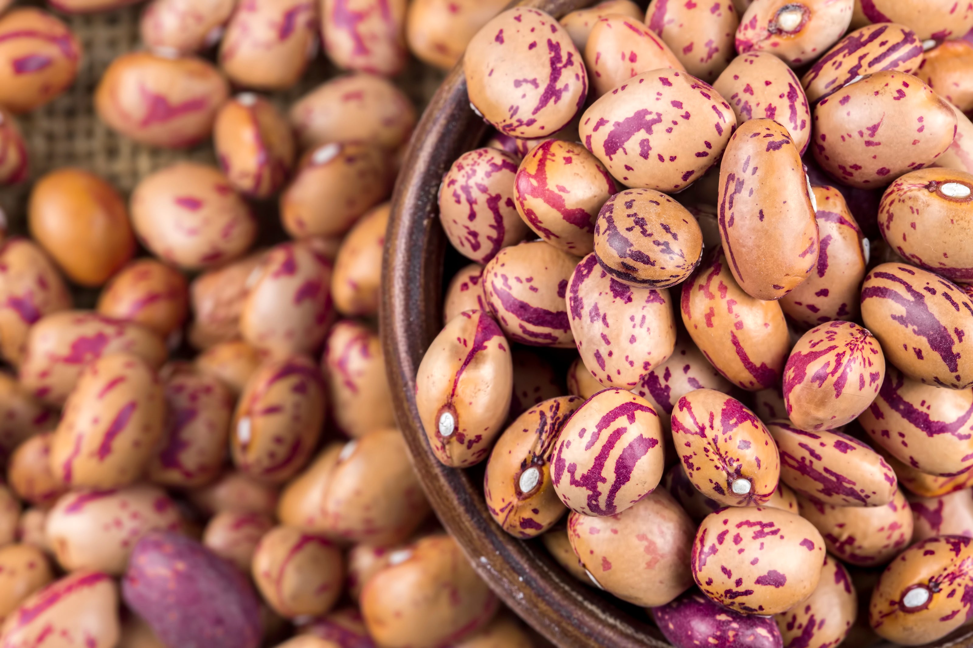 Borlloti Beans