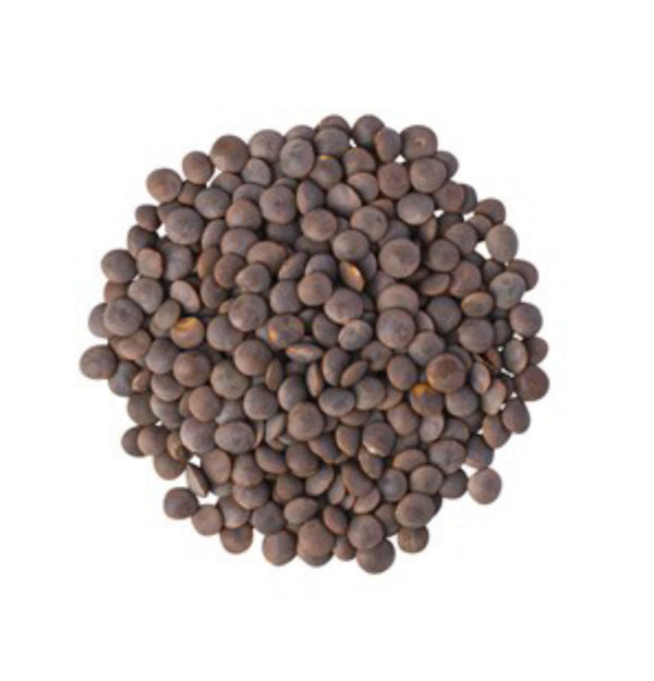 Organic Brown Lentils