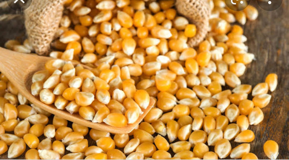 Popcorn
