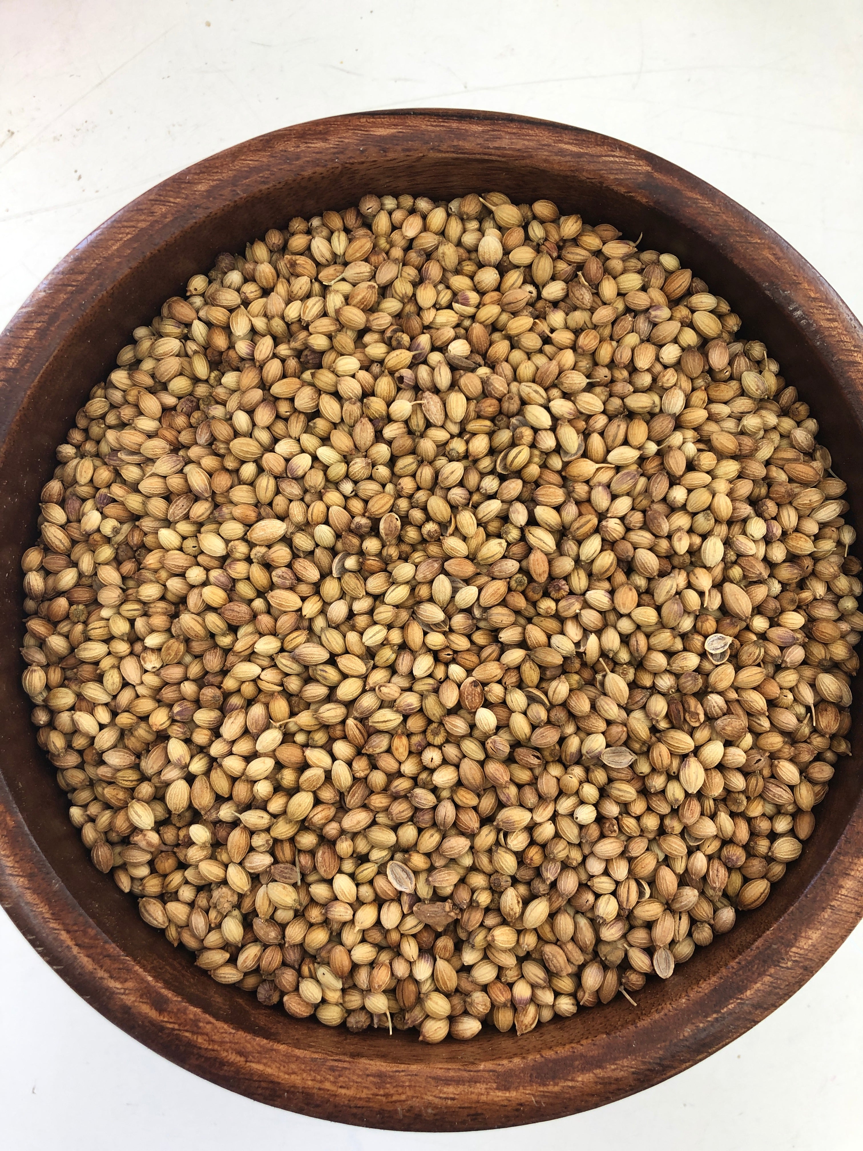 Coriander Seeds